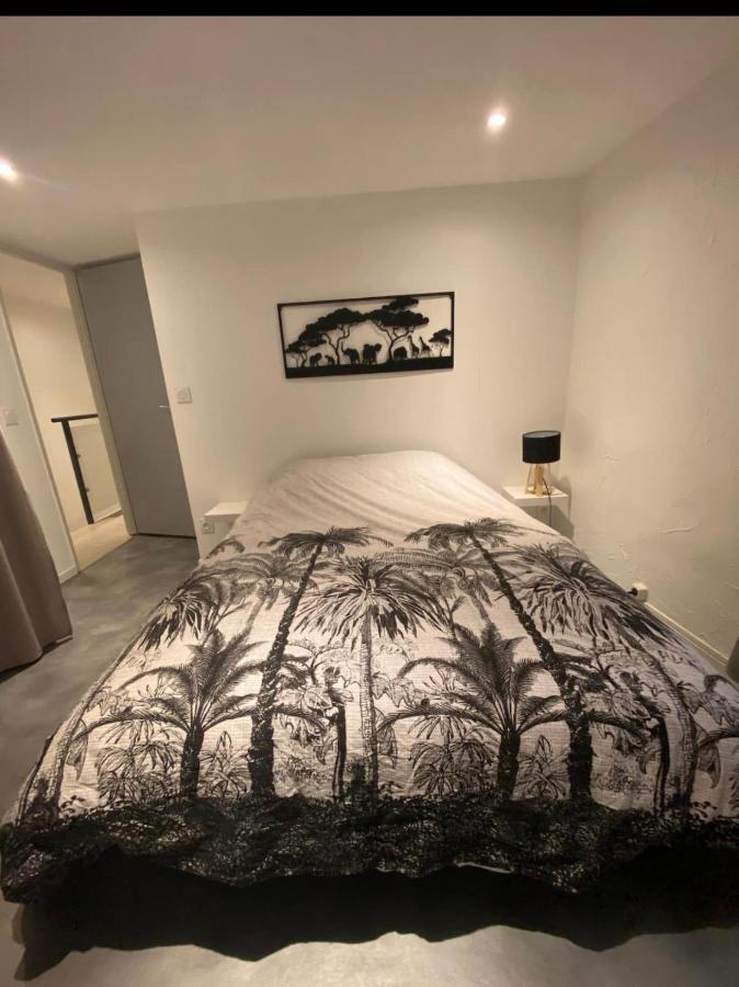 Le Boldieu- Duplex -allee Paul Riquet- Wifi- Tv Connecte Béziers